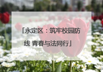 永定区：筑牢校园防线 青春与法同行