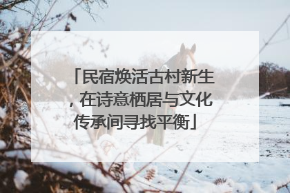 民宿焕活古村新生，在诗意栖居与文化传承间寻找平衡