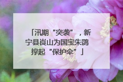 汛期“突袭”，新宁县崀山为国宝朱鹮撑起“保护伞”