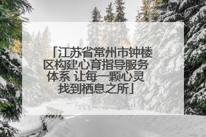 江苏省常州市钟楼区构建心育指导服务体系 让每一颗心灵找到栖息之所