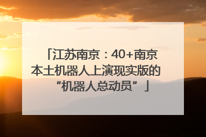 江苏南京：40+南京本土机器人上演现实版的“机器人总动员”