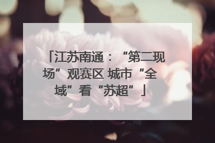 江苏南通：“第二现场”观赛区 城市“全域”看“苏超”