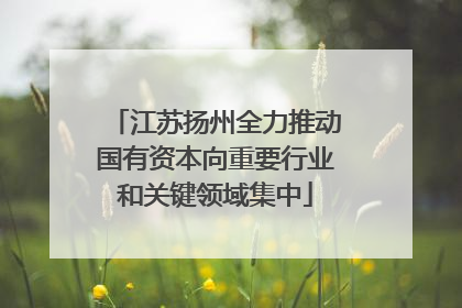 江苏扬州全力推动国有资本向重要行业和关键领域集中