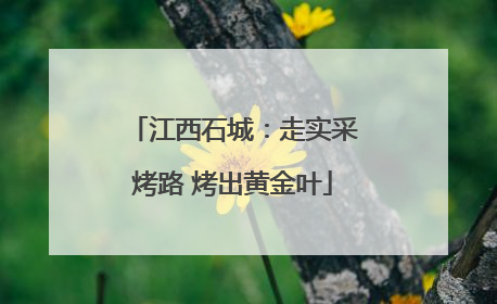 江西石城：走实采烤路 烤出黄金叶
