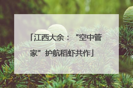 江西大余：“空中管家”护航稻虾共作