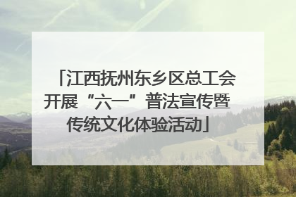江西抚州东乡区总工会开展“六一”普法宣传暨传统文化体验活动