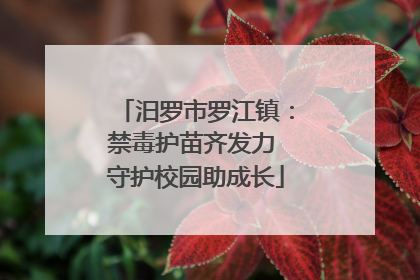汨罗市罗江镇：禁毒护苗齐发力 守护校园助成长