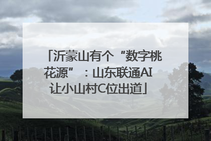 沂蒙山有个“数字桃花源”：山东联通AI让小山村C位出道