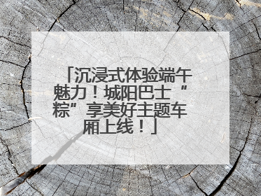 沉浸式体验端午魅力！城阳巴士“粽”享美好主题车厢上线！