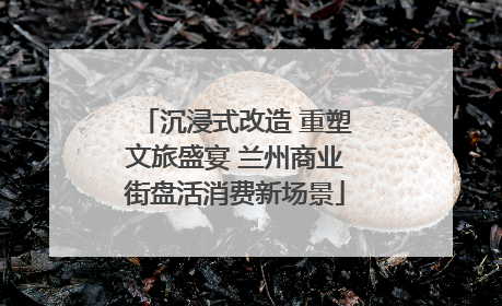 沉浸式改造 重塑文旅盛宴 兰州商业街盘活消费新场景