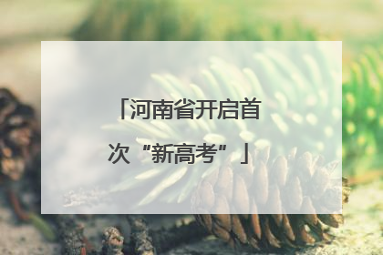 河南省开启首次“新高考”