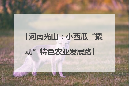 河南光山：小西瓜“撬动”特色农业发展路