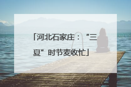 河北石家庄：“三夏”时节麦收忙