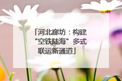 河北廊坊：构建“空铁陆海”多式联运新通道