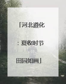 河北遵化：夏收时节田园如画