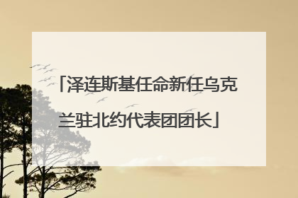 泽连斯基任命新任乌克兰驻北约代表团团长