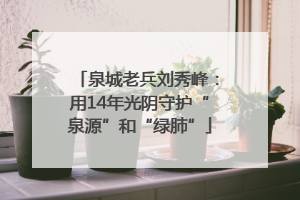 泉城老兵刘秀峰：用14年光阴守护“泉源”和“绿肺”