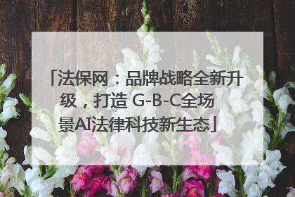 法保网：品牌战略全新升级，打造 G-B-C全场景AI法律科技新生态