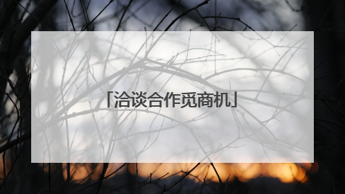 洽谈合作觅商机
