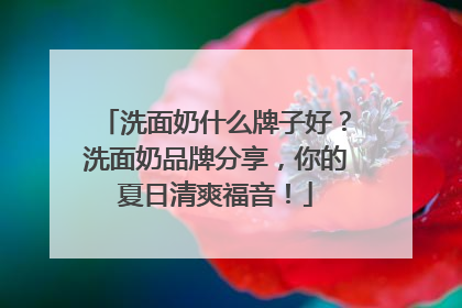 洗面奶什么牌子好？洗面奶品牌分享，你的夏日清爽福音！