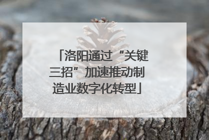 洛阳通过“关键三招”加速推动制造业数字化转型