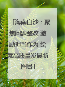 海南白沙：聚焦问题整改 激励担当作为 绘就高质量发展新图景