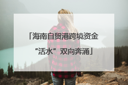海南自贸港跨境资金“活水”双向奔涌