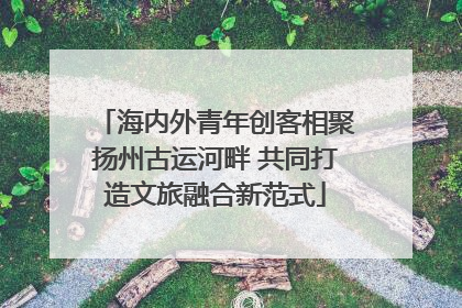 海内外青年创客相聚扬州古运河畔 共同打造文旅融合新范式