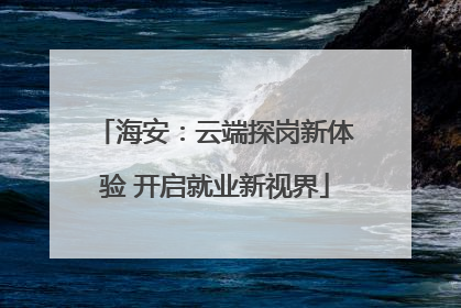 海安：云端探岗新体验 开启就业新视界