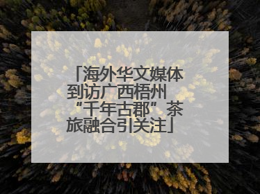 海外华文媒体到访广西梧州 “千年古郡”茶旅融合引关注