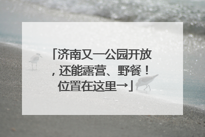 济南又一公园开放，还能露营、野餐！位置在这里→