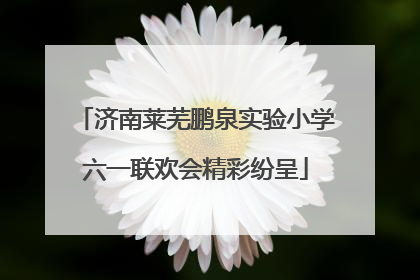 济南莱芜鹏泉实验小学六一联欢会精彩纷呈