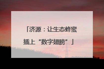 济源：让生态蜂蜜插上“数字翅膀”