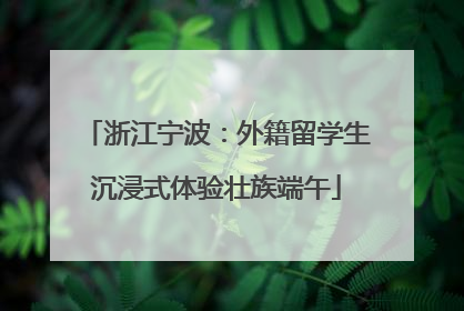 浙江宁波：外籍留学生沉浸式体验壮族端午