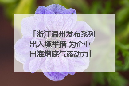 浙江温州发布系列出入境举措 为企业出海增底气添动力