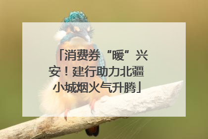 消费券“暖”兴安！建行助力北疆小城烟火气升腾
