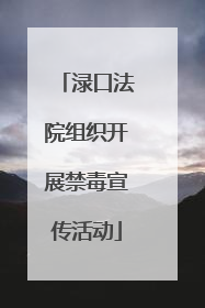 渌口法院组织开展禁毒宣传活动