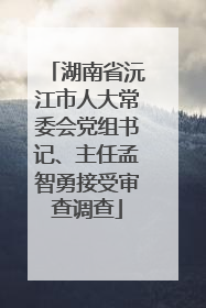 湖南省沅江市人大常委会党组书记、主任孟智勇接受审查调查