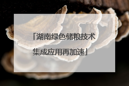湖南绿色储粮技术集成应用再加速