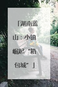 湖南蓝山：小镇崛起“箱包城”