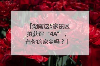 湖南这5家景区拟获评“4A”，有你的家乡吗？