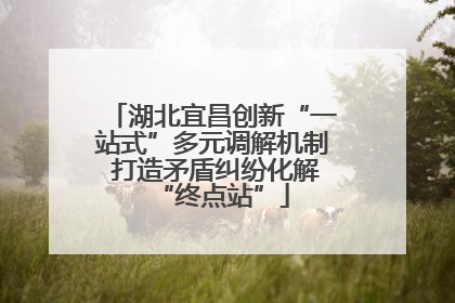 湖北宜昌创新“一站式”多元调解机制 打造矛盾纠纷化解“终点站”