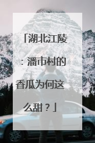 湖北江陵：潘市村的香瓜为何这么甜？