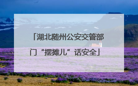湖北随州公安交管部门“摆摊儿”话安全