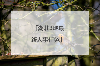 湖北3地最新人事任免