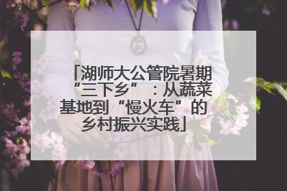湖师大公管院暑期“三下乡”：从蔬菜基地到“慢火车”的乡村振兴实践