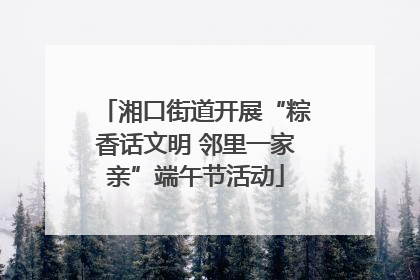 湘口街道开展“粽香话文明 邻里一家亲”端午节活动