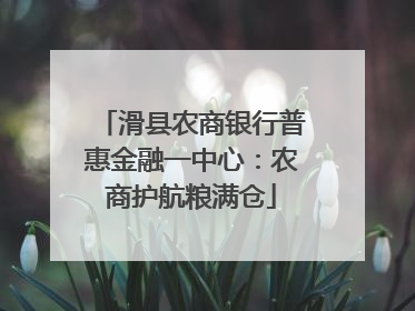 滑县农商银行普惠金融一中心：农商护航粮满仓