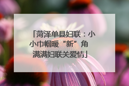 菏泽单县妇联：小小巾帼暖“新”角 满满妇联关爱情