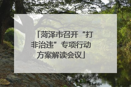 菏泽市召开“打非治违”专项行动方案解读会议